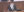 Dumitru Robu prezintă cele nouă capete de acuzare privind ridicarea imunității deputatului fugar, Ilan Șor