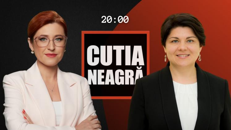 cutia23