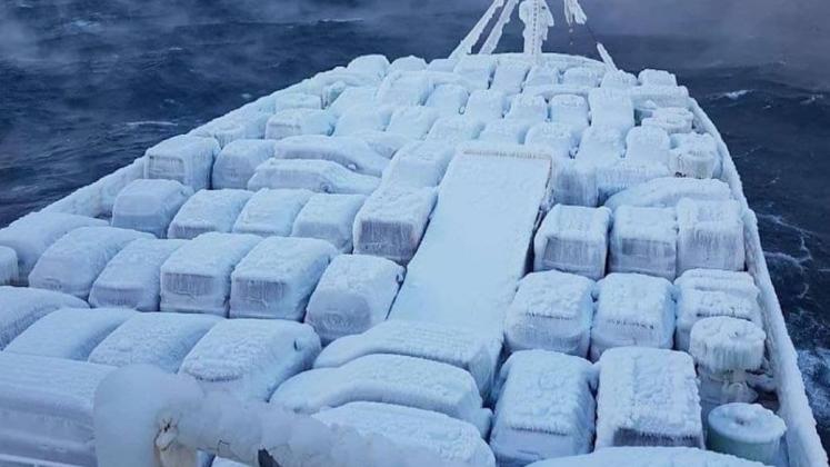masini inghetate Vladivostok_0