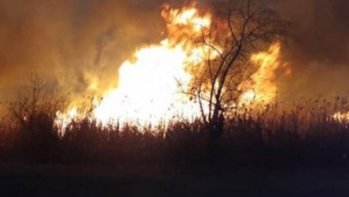 incendiu_95669200