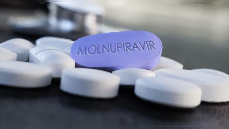 in-molnupiravir