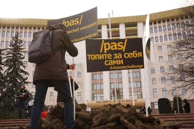 protest tizic