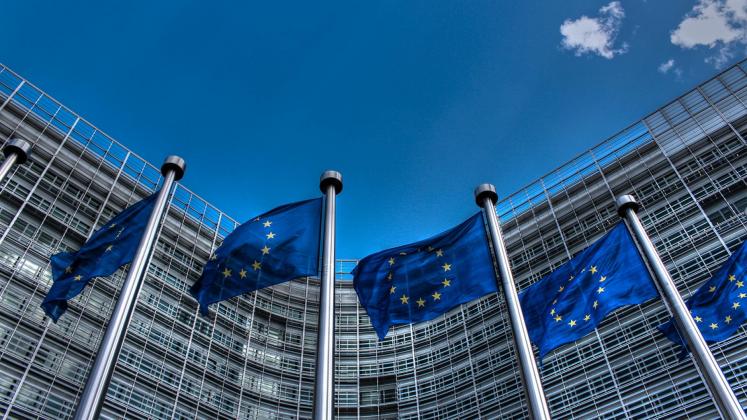 European_Union_Flags_2a