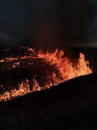 incendii