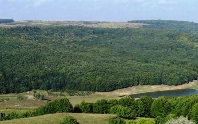 ziua padurilor_site