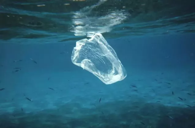image-2018-02-5-22269113-41-plasticul-din-oceane