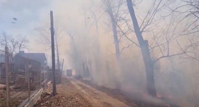 foc