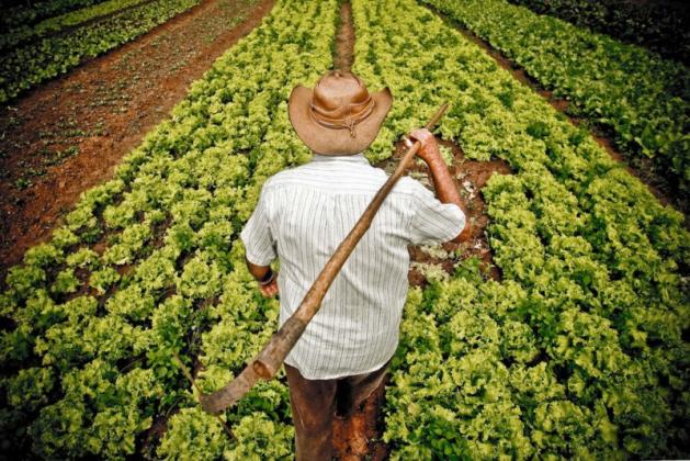 agricultor-e1536224950692