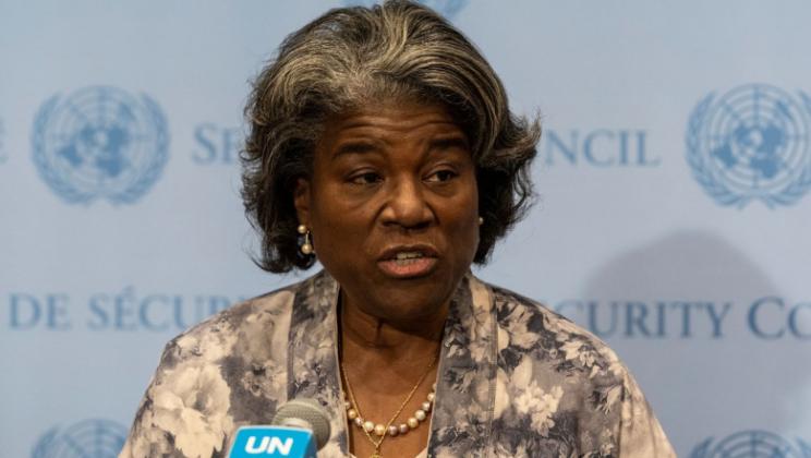 ambasada sua onu