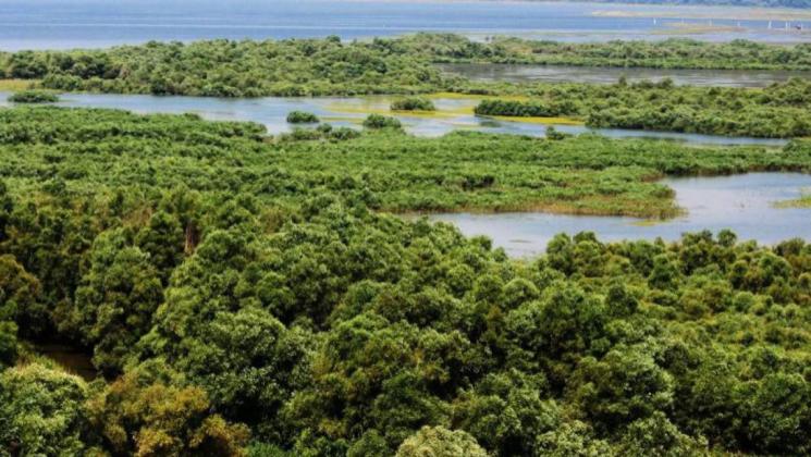 crearea-parcului-national-nistrul-de-jos--mai-aproape-de-realitate-un-nou-proiect-lansat-de-autoritatile-centrale--in-colaborare-cu-ong-urile-de-mediu-43821