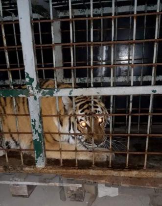 zoo Ucraina