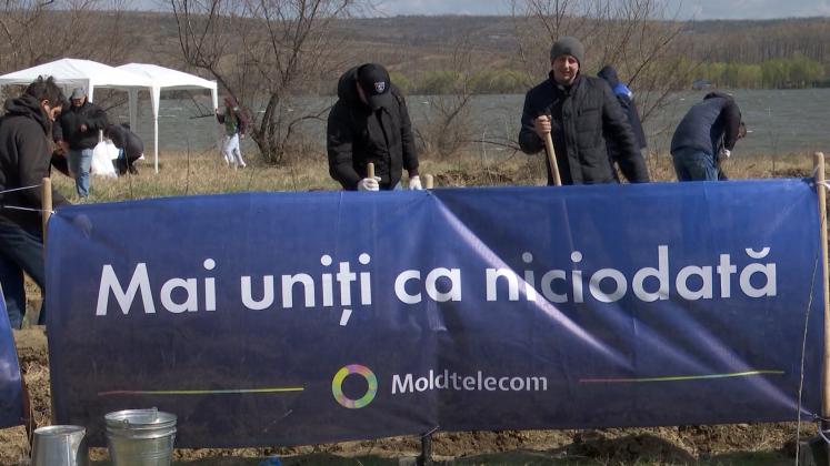 n181403v14_PĂDURE MOLDTELECOM.mxf.00_02_24_24.Still002