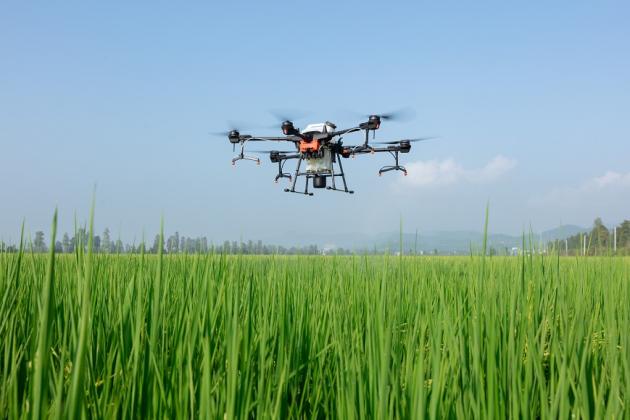 DJI-Agras-T20-Flying-on-wheat