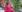 /VIDEO/ Tatiana Heghea, însărcinată pentru a treia oară. „Sub inima mea, duc și crește o nouă viață”