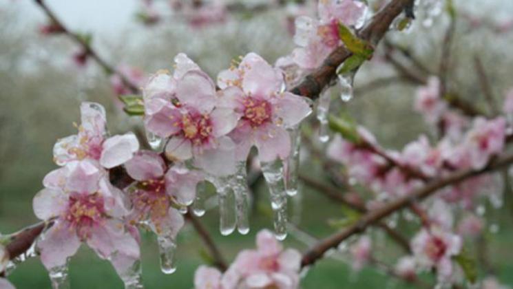 Meteorologii-trag-alarma-Cod-Galben-de-inghet-in-toata-tara-Recomandarile-specialistilor-56322-1555677540