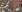 /FOTO/ Google Maps a dezvăluit toate locurile în care se află bazele militare rusești. Cum arată harta armată a Crimeii 