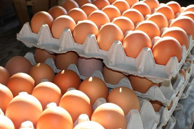 fresh-eggs-2581036_960_720
