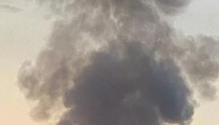 1200_0_1651166885-9295