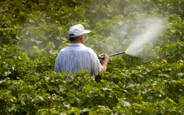 pesticide