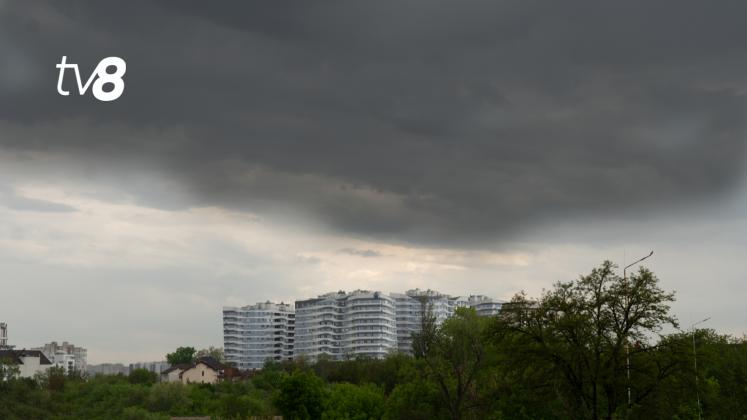 DSC05091
