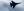 /VIDEO/ Război în Ucraina, ziua 81: Avion doborât, atac la Lvov, costul uriaș al reconstrucției și avertizare din Rusia