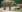 O instanţă din SUA încearcă să stabilească dacă un elefant are drepturi umane. Există și un precedent