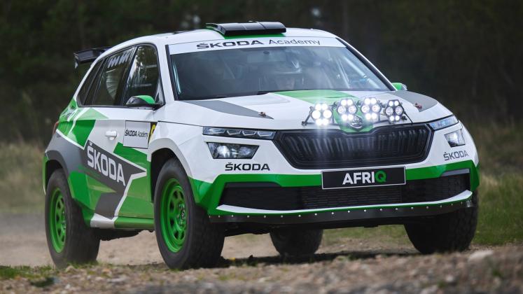 New 2022 Skoda Afriq Concept_49