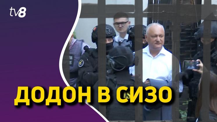 ALINA SMM (60)