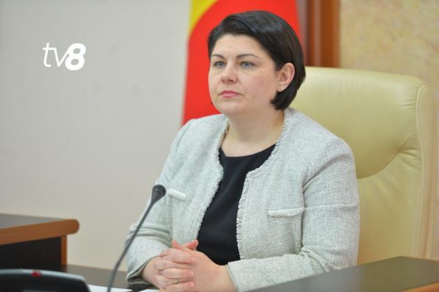 Natalia Gavrilița tv8