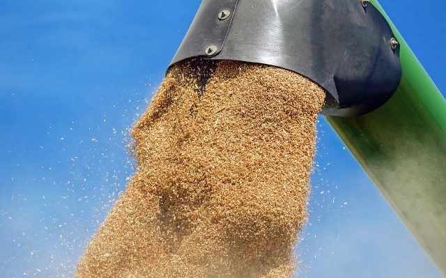 wheat-gfdfcd1bdb_1280-640x400