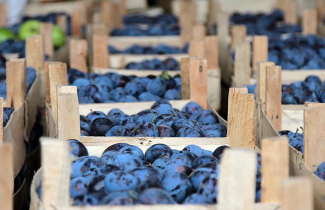 fructe, prune jpg