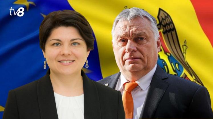 gavrilita si orban