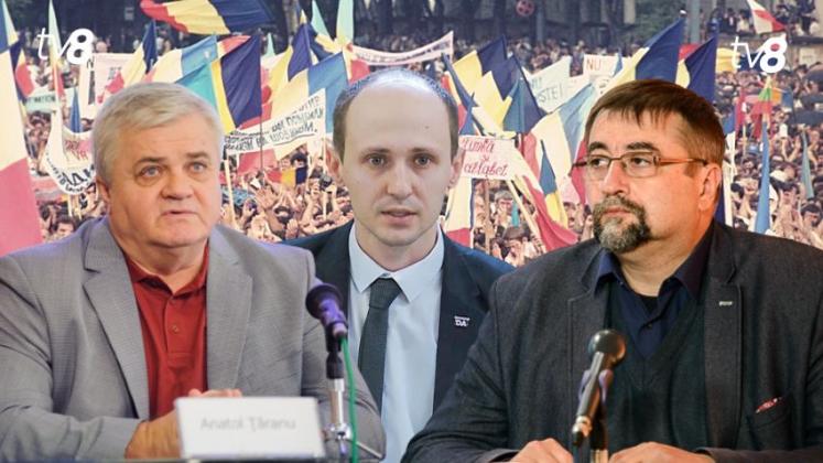 CUTIA NEAGRA_EXPERTI