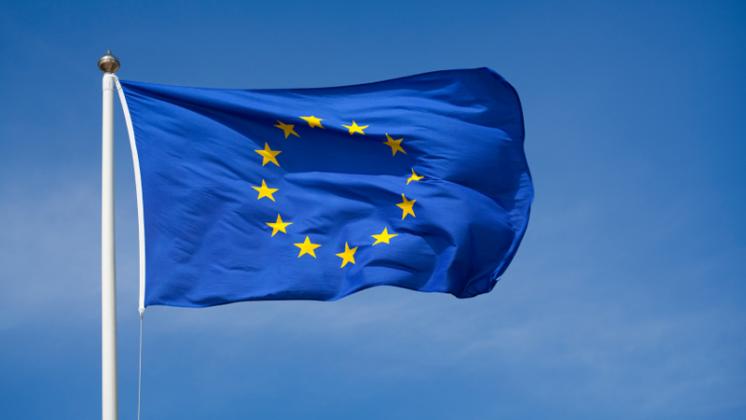 eu-flagb7fdaa8d54216d0c8310ff0100d05193