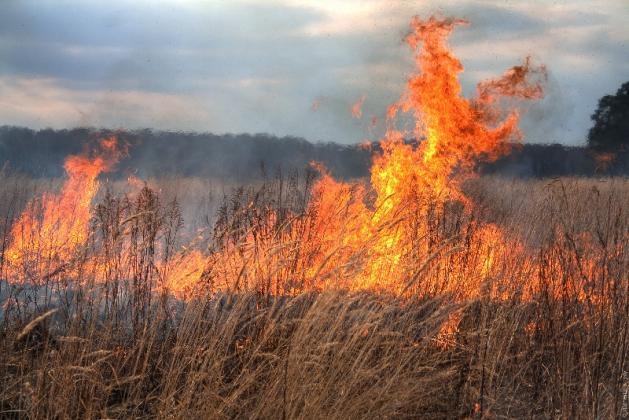 incendiu 2