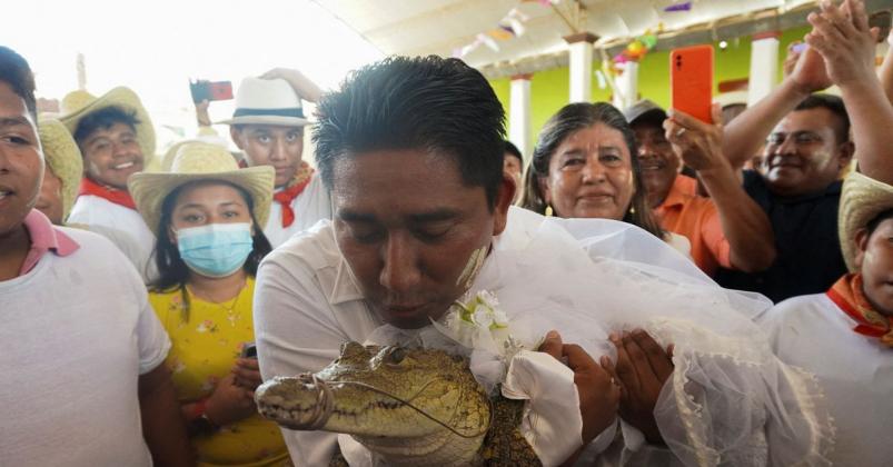 video-un-primar-s-a-insurat-cu-un-crocodil-pentru-binele-orasului-ritualul-nuptial-a-inclus-si-un-sarut