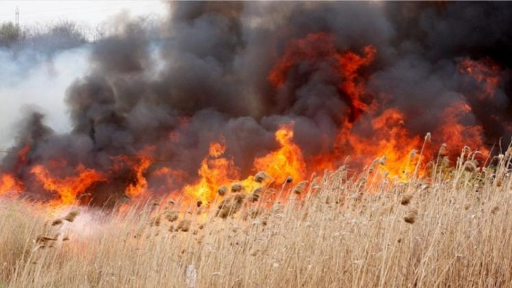 incendiu