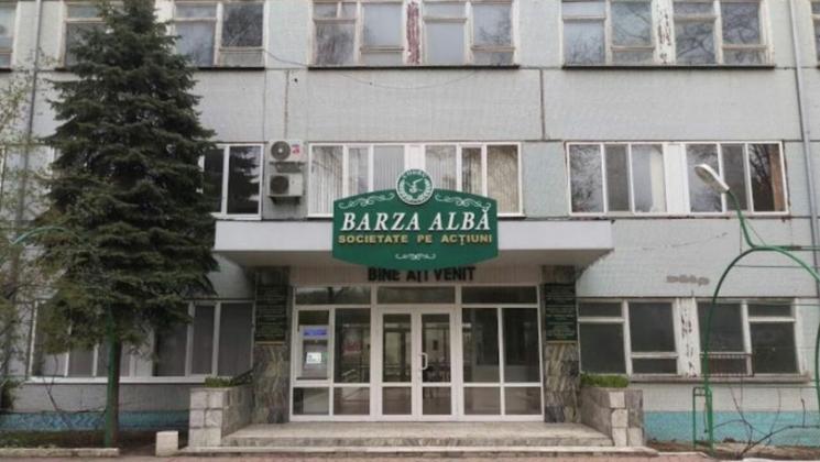 barza albă