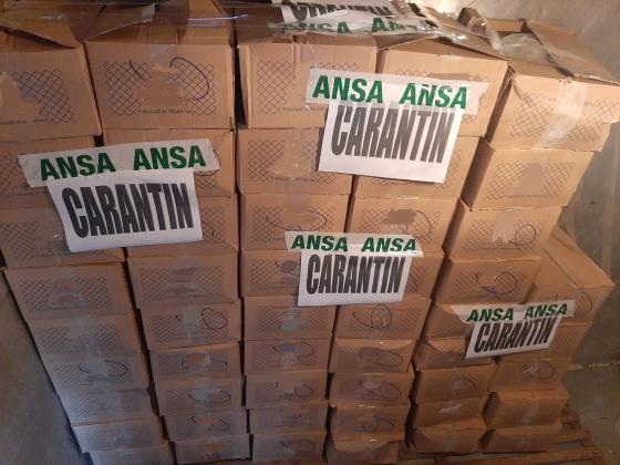 ansa2
