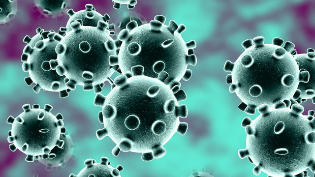 virus