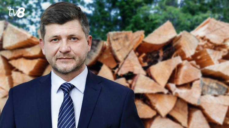 dumitru udrea