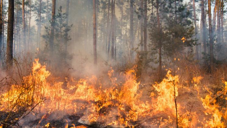 incendiu
