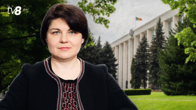 Gavrilița