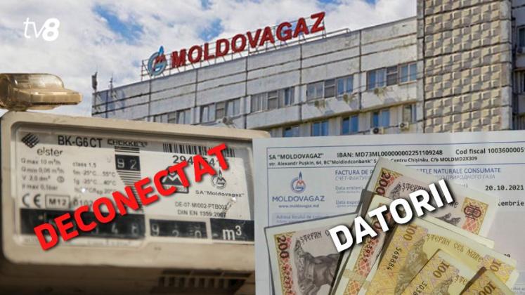 DATORII MOLODVAGAZ (2)