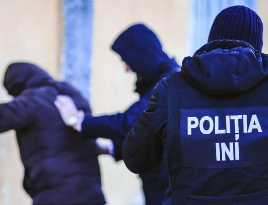 Poliția INI