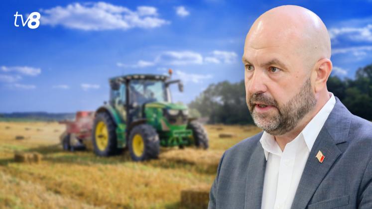 Bolea_Agricultura
