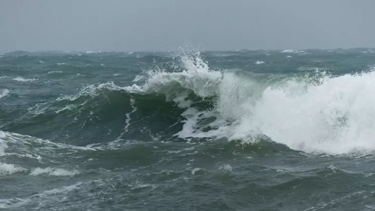 mare