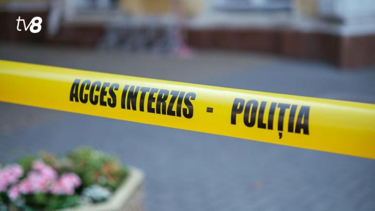 Panglica Acces Interzis 13