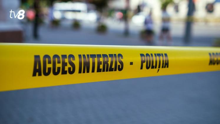 Panglica Acces Interzis 18