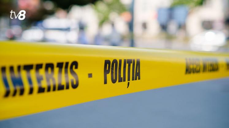Panglica Acces Interzis 16